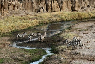 1 Day Tour Hell’s Gate National Park