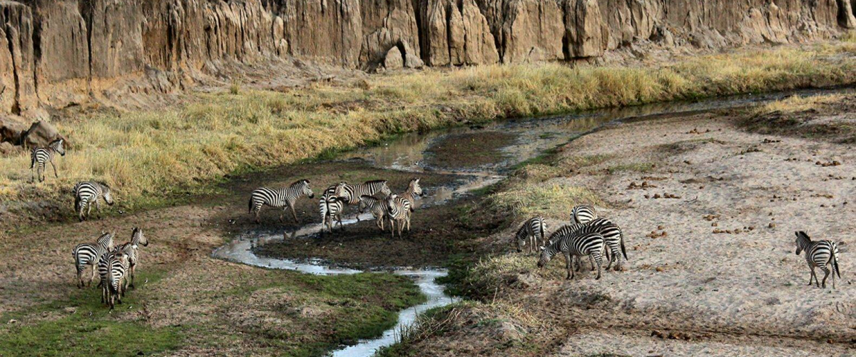 1 Day Tour Hell’s Gate National Park