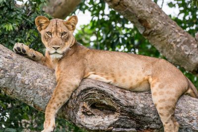 6 Days Best of Tanzania Adventure Safari