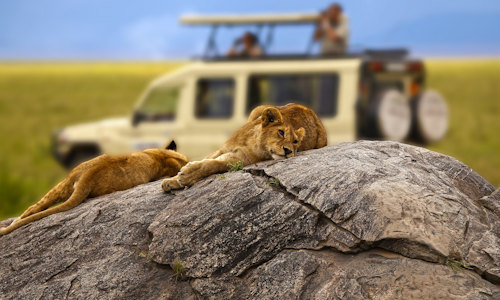 4 Days Lake Manyara – Serengeti – Ngorongoro Safari