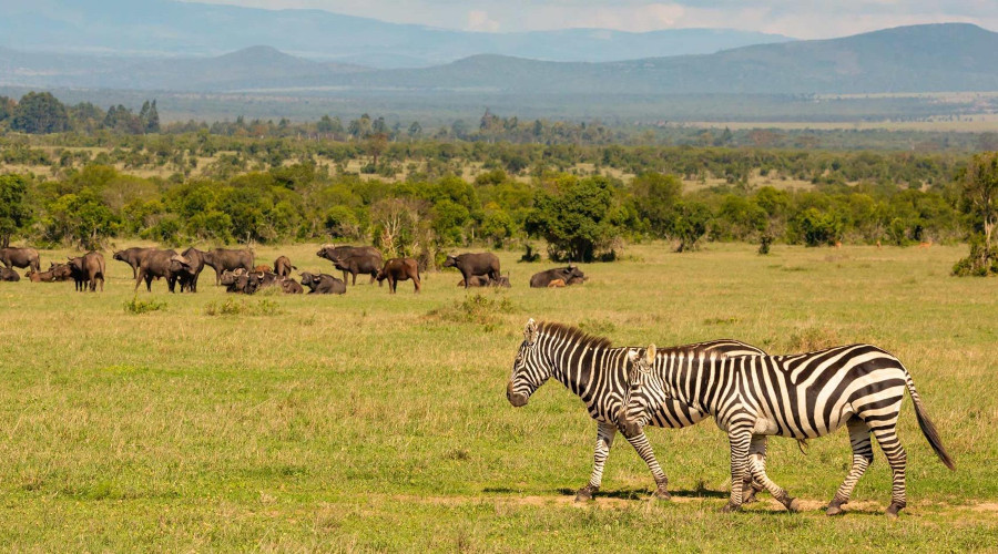 2 Days 1 Night Ol Pejeta Conservancy.