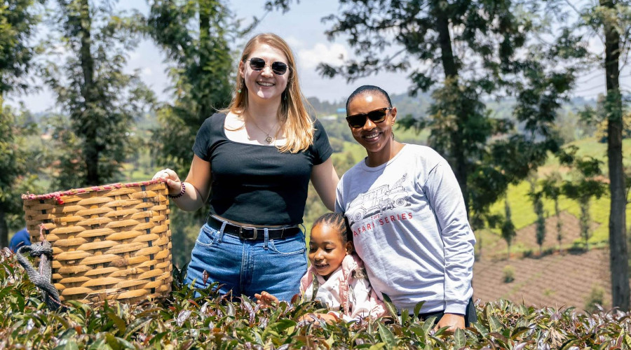 Purple Tea Farm Visit – Unique Day Experience