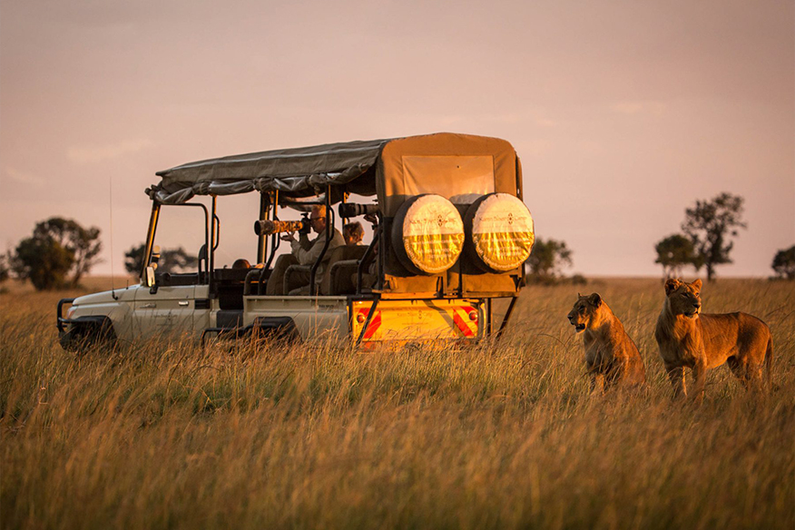 about-mbiu-nzau-safaris