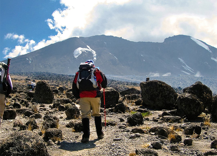 7-days-mount-kilimanjaro-climbing-lemosho-route-1 7-days-mount-kilimanjaro-climbing-lemosho-route